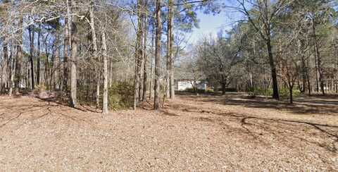 70 CLUB FOREST Drive, Tennille, GA 31089