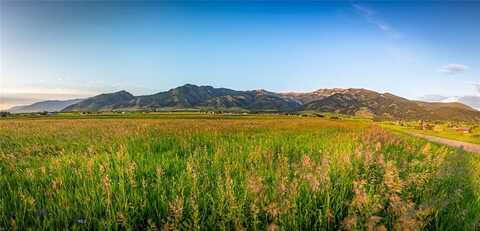 Lot 1 VistAlora Lane, Bozeman, MT 59715