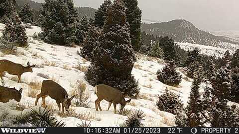 Lot 74 Pony Express Trail, Ramsay, MT 59748