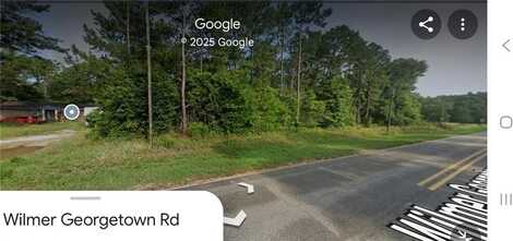 0 Wilmer Georgetown Road, Wilmer, AL 36587