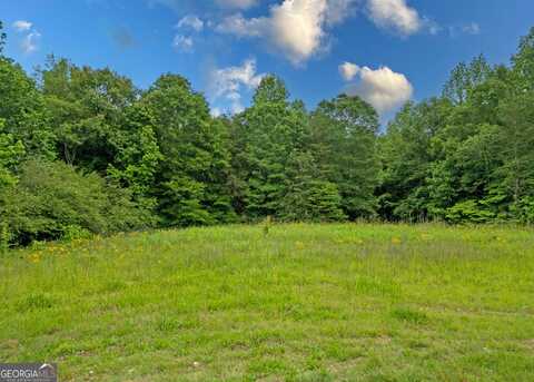464 Deer Meadows Estates, Carnesville, GA 30521