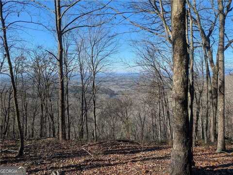 234 Stirratt, Ranger, GA 30734