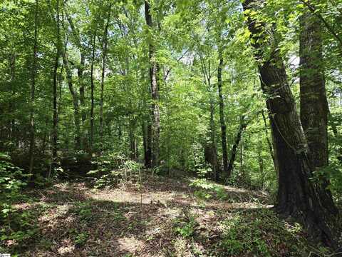 00 Ross Drive, Starr, SC 29684