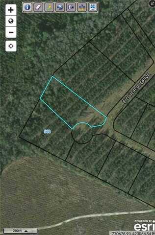 0 Big Horse Drive, Waynesville, GA 31566