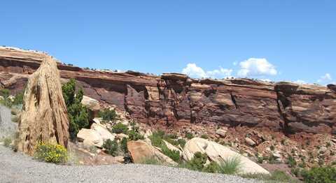 15310 DS Road, Glade Park, CO 81523