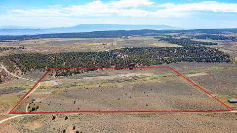 Tbd S Trail Canyon Drive, Glade Park, CO 81523