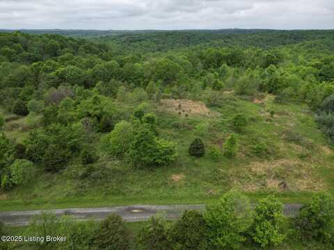 Lot 14 Duvall Rd, Caneyville, KY 42721