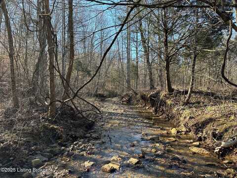 Lot 15 Duvall Rd, Caneyville, KY 42721