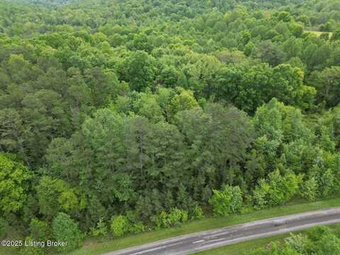 Lot 8 Duvall Rd, Caneyville, KY 42721