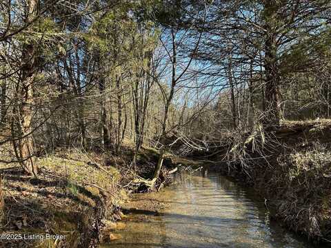 Lot 16 Duvall Rd, Caneyville, KY 42721