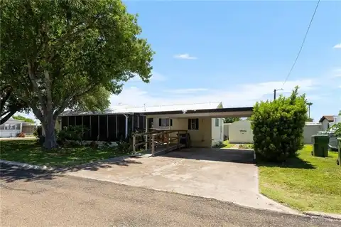 411 Palmetto Drive, Alamo, TX 78516