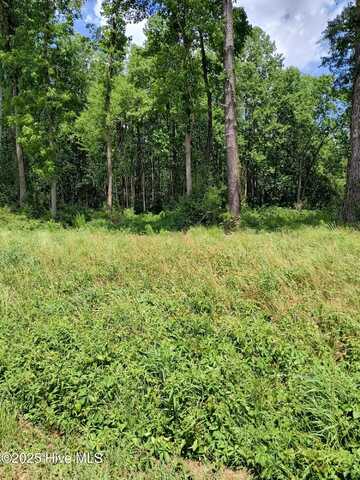 Lot B Tyree Road, Kinston, NC 28504