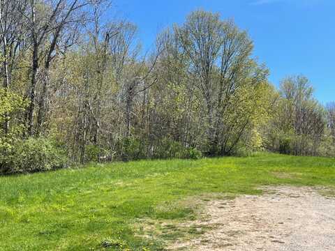 S Oceana Drive, Shelby, MI 49455