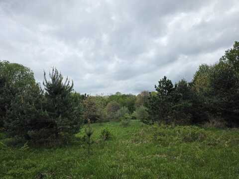 Holton Road, Holton, MI 49425