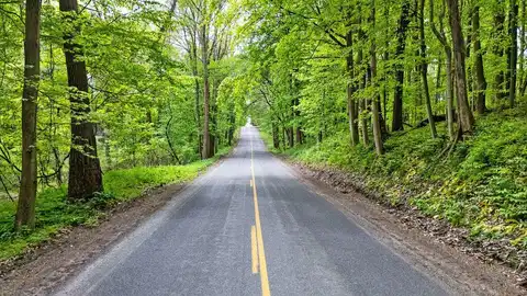 V/L Gardner Road, Galien, MI 49113