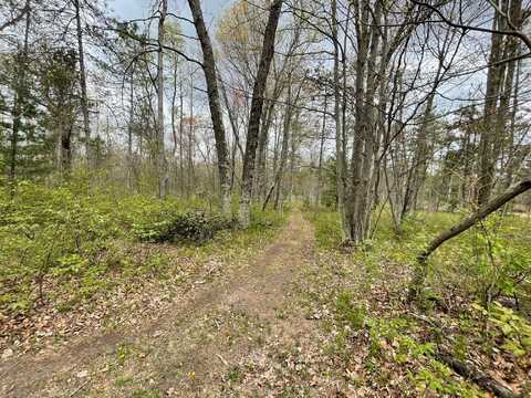 V/L Caberfae Highway, Wellston, MI 49689