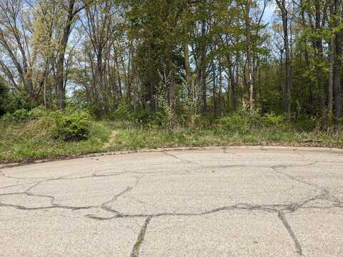 816 E Indiana Street, New Buffalo, MI 49117