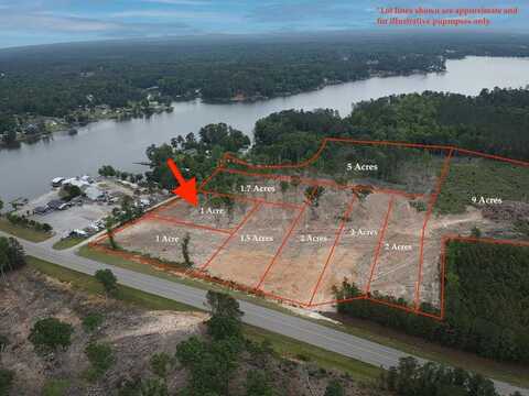 0 Pinkney, Prosperity, SC 29127