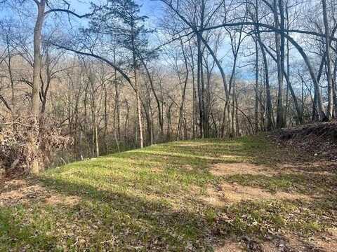 000 County Road 328, Dora, MO 65637