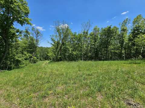 690 Town Hollow Road, Anderson, MO 64831