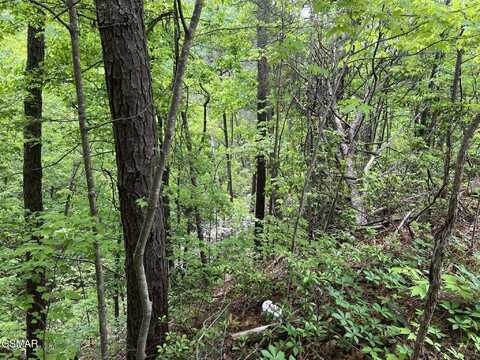Lot 4 Yost Way, Sevierville, TN 37876