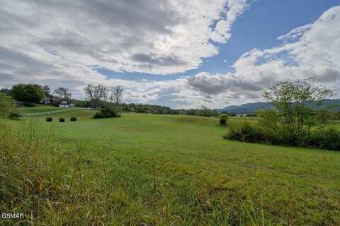 0 Cumberland Gap Parkway, Harrogate, TN 37752