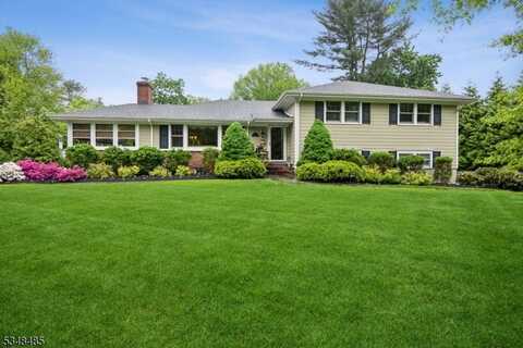 7 Crestview Ave, Madison, NJ 07940