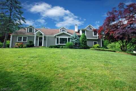 35 Evergreen Ln, Watchung, NJ 07069