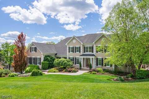 39 Crown View Ct, Sparta, NJ 07871