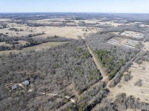 TBD CR 4246, Pittsburg, TX 75686