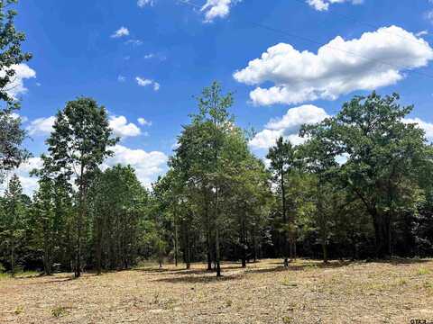 7399 CR 378, Laneville, TX 75667