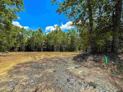 7475 S CR 378, Laneville, TX 75667