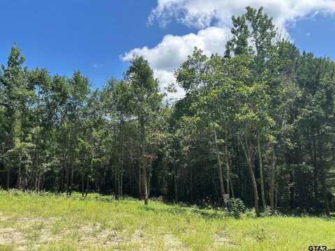 7475 S CR 378, Laneville, TX 75667