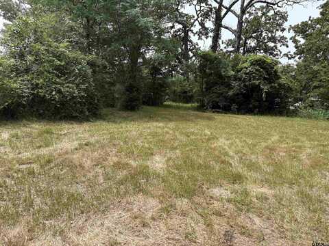 216 Nettles Dr, Tyler, TX 75702