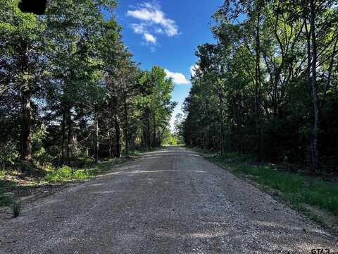 TRACT B / 231 PRIVATE ROAD 8507, Van, TX 75790