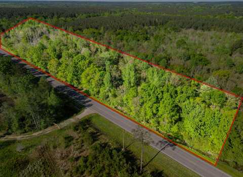 9.92 Acres Hwy 11, Moselle, MS 39459