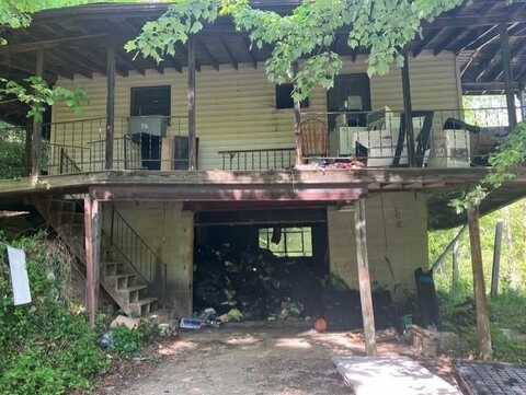 20 Pelfrey Hollow, East Lynn, WV 25512