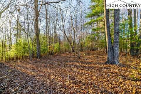 Tbd John Baker Road, Crumpler, NC 28617