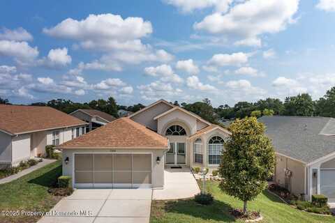 284 Quane Avenue, Spring Hill, FL 34609