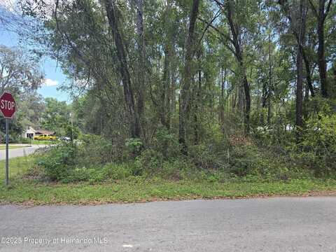 3546 E Diana Lane, Inverness, FL 34453