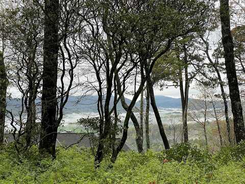 Camp 6 Eagle Frive, Sapphire, NC 28774