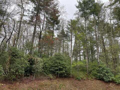 Lot G- Bailey Lane, Sapphire, NC 28774