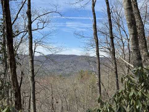 L2 Windy Gap Lane, Sapphire, NC 28774