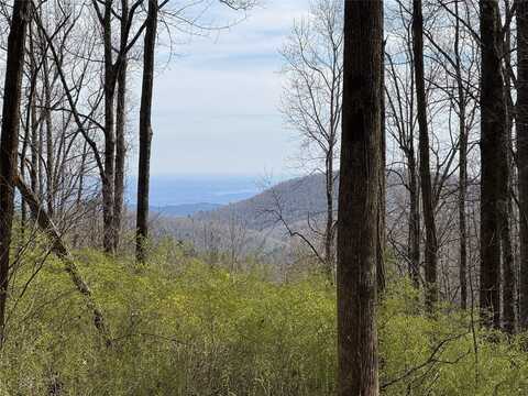 L8 Black Bear Court, Sapphire, NC 28774