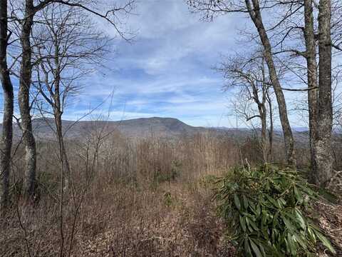 L3 Windy Gap Lane, Sapphire, NC 28774
