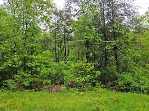 0 Little Valley Road, Saxton, PA 16678