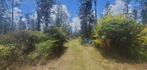 16-2192 IO KEA RD, MOUNTAIN VIEW, HI 96760