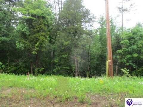 Lots 18 & 19 Brier Creek Road, Mammoth Cave, KY 42259