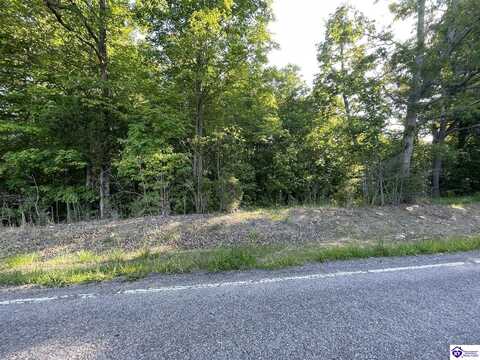 Lot 3 Rineyville Big Springs Road, Rineyville, KY 40162
