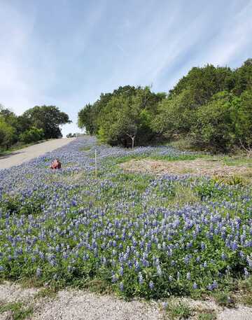 Dew Drop / Chuckwagon Street, Horseshoe Bay, TX 78657